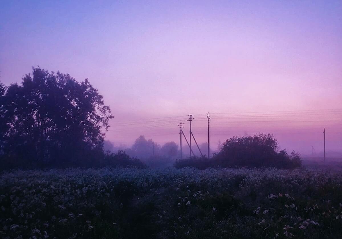 金沙乐娱场app：开启全新娱乐体验的智能选择
